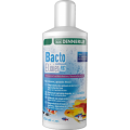 Dennerle Bacto Elixier FB7 - Klarwasser-Filterbakterien für 1250 L, 250ml