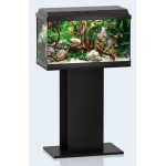 Juwel Aquarium Primo 60 LED, 61x31x37cm, schwarz / noir60l, 1x8W, Filter 300L/h