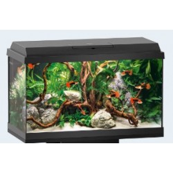 Juwel Aquarium Primo 60 LED, 61x31x37cm, schwarz / noir60l, 1x8W, Filter 300L/h