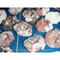 Silbermann Korallen Ablegerstein bis 70mm