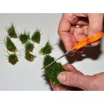 Tropica 1-2-Grow Eleocharis acicularis Mini